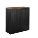 Regal Gent 100x90 cm Aktenschrank Schwarz / Holzfarben