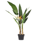 Kunstpflanze im Blumentopf 115 cm STRELITZIA TREE