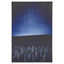 Leinwandbild Nachtlandschaft blau / schwarz 63 x 93 cm LORETO