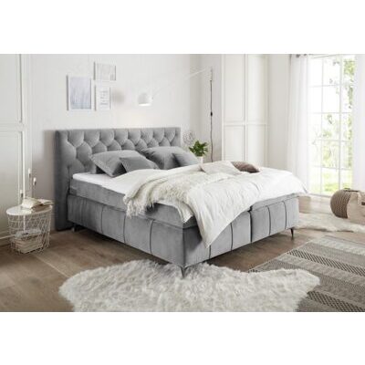 Boxspringbett PEMBROKE 8 grey